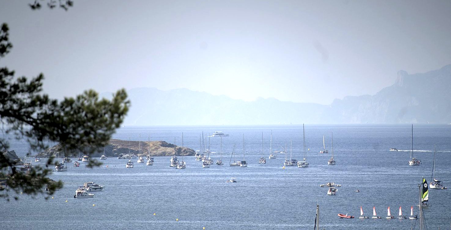 La baie et ses bateaux au mouillage, sous les pins