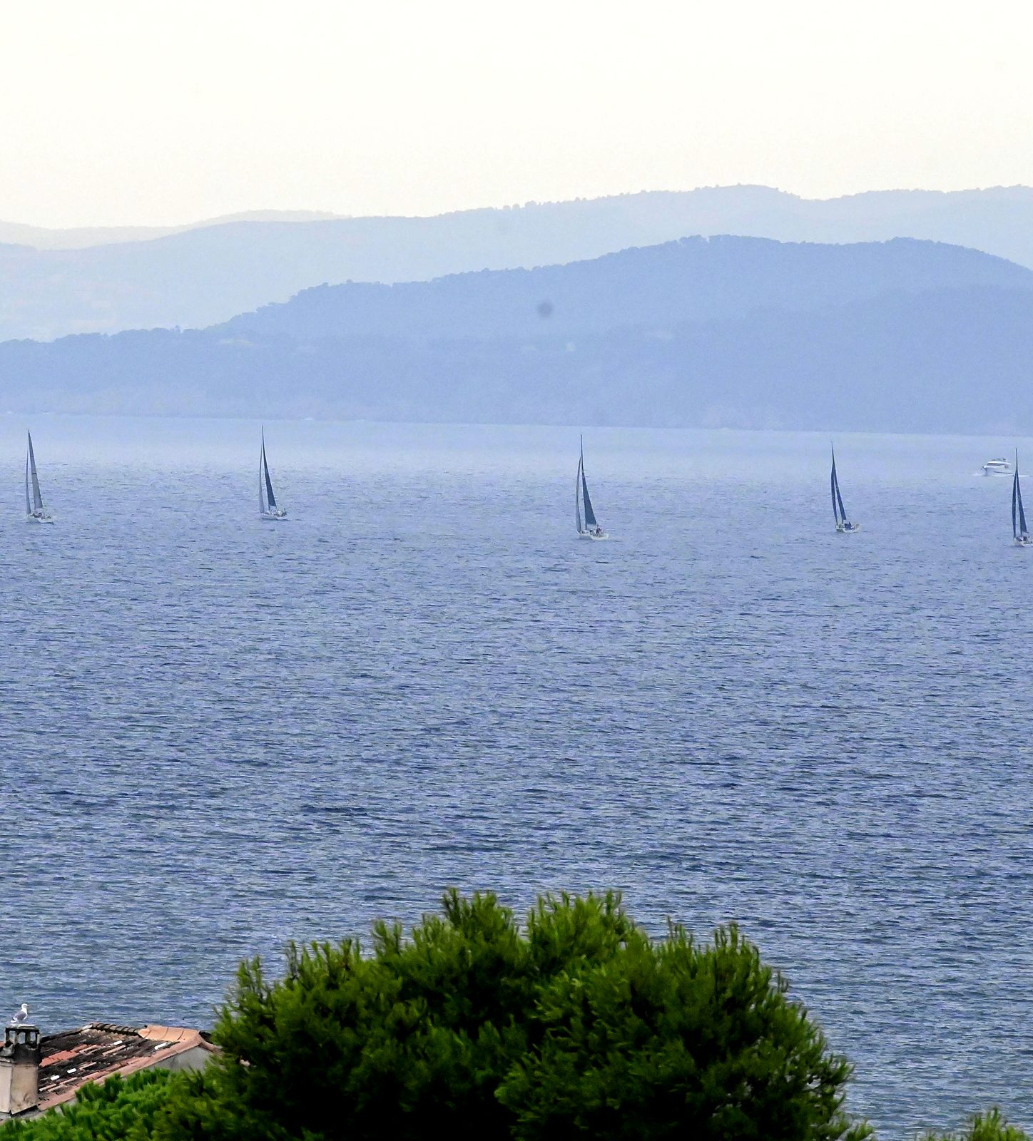 La mer et les voiliers vus depuis les hauteurs, au-dessus des pins